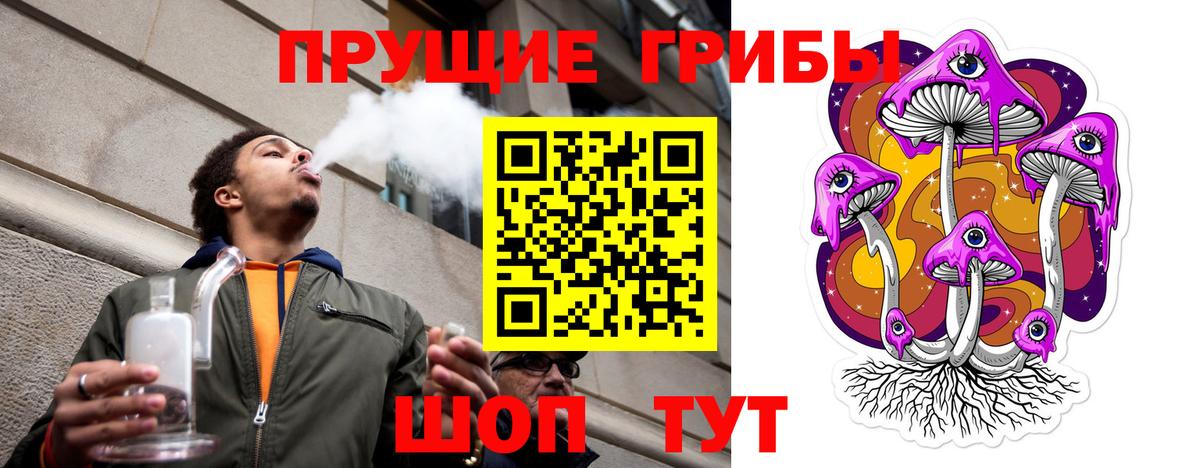 Галлюциногенные грибы Psilocybe  Вход с VPN  Феодосия 